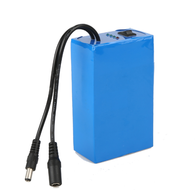 Battery  With Li-Ion Battery Charger For Solar Power System/LED Panel Light