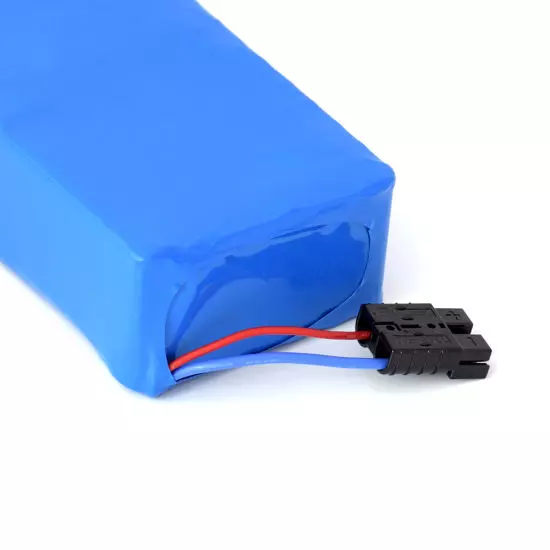 1000W 48V 20ah Li-ion Lithium Battery for Electric Bike